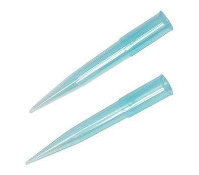 Blue tip pic e1768744349127